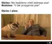 komentarz obrazkowy