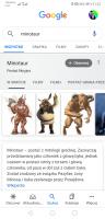 komentarz obrazkowy