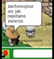 komentarz obrazkowy