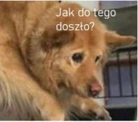 komentarz obrazkowy