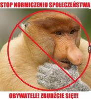 komentarz obrazkowy