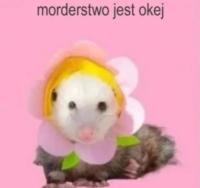 komentarz obrazkowy