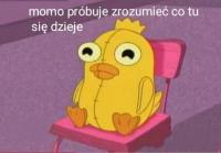 komentarz obrazkowy