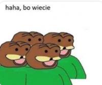 komentarz obrazkowy