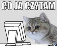komentarz obrazkowy