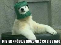 komentarz obrazkowy