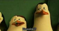 komentarz obrazkowy
