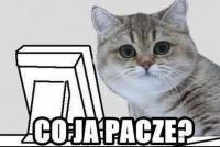 komentarz obrazkowy