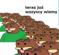 komentarz obrazkowy