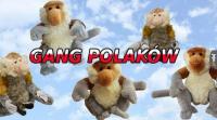 komentarz obrazkowy