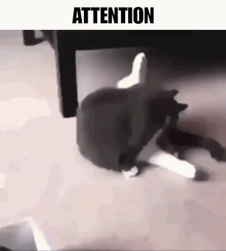 komentarz obrazkowy