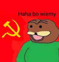 komentarz obrazkowy