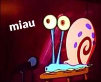 komentarz obrazkowy