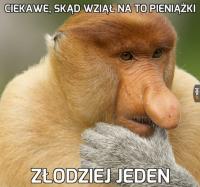komentarz obrazkowy