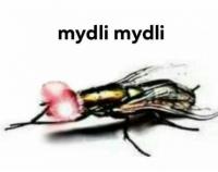 komentarz obrazkowy