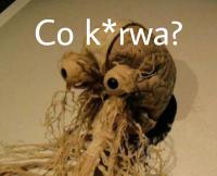 komentarz obrazkowy