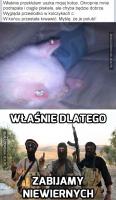 komentarz obrazkowy