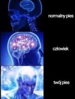 komentarz obrazkowy