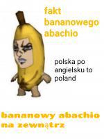 komentarz obrazkowy