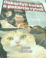 komentarz obrazkowy