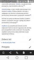 komentarz obrazkowy