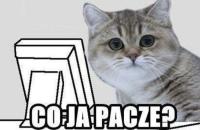 komentarz obrazkowy