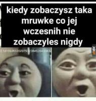 komentarz obrazkowy