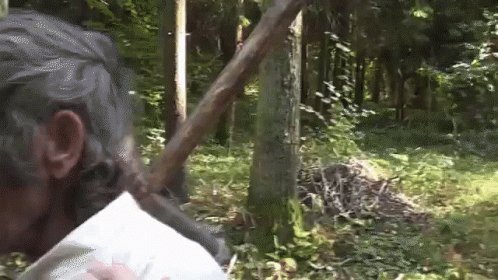 komentarz obrazkowy