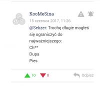 komentarz obrazkowy