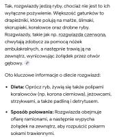 komentarz obrazkowy