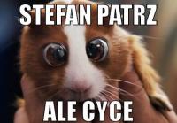komentarz obrazkowy
