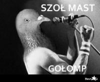 komentarz obrazkowy