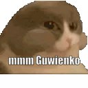 komentarz obrazkowy
