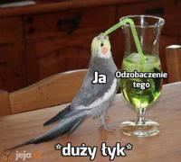 komentarz obrazkowy