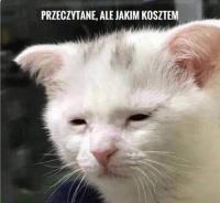 komentarz obrazkowy