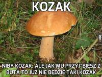 komentarz obrazkowy