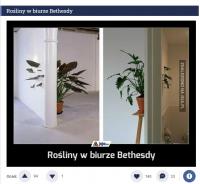 komentarz obrazkowy