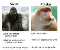 komentarz obrazkowy