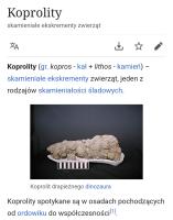 komentarz obrazkowy