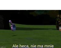 komentarz obrazkowy