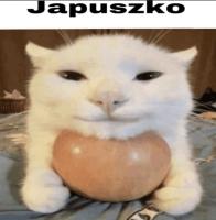 komentarz obrazkowy