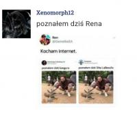 komentarz obrazkowy