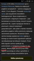 komentarz obrazkowy
