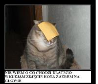 komentarz obrazkowy
