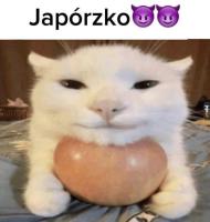 komentarz obrazkowy