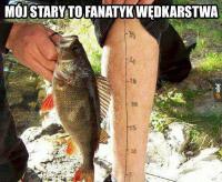 komentarz obrazkowy