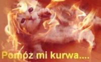 komentarz obrazkowy