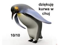 komentarz obrazkowy