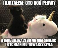 komentarz obrazkowy