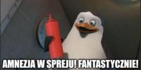 komentarz obrazkowy